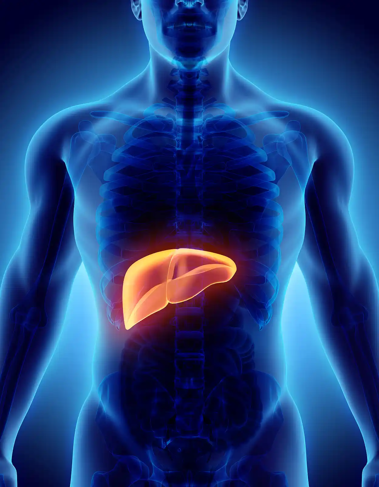 Liver microbiome epigenetics research explores how microbial activity may influence gene expression in metabolic dysfunction-associated steatotic liver disease.